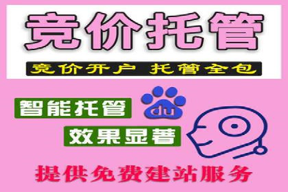 深度解析：百度推广的营销效果案例